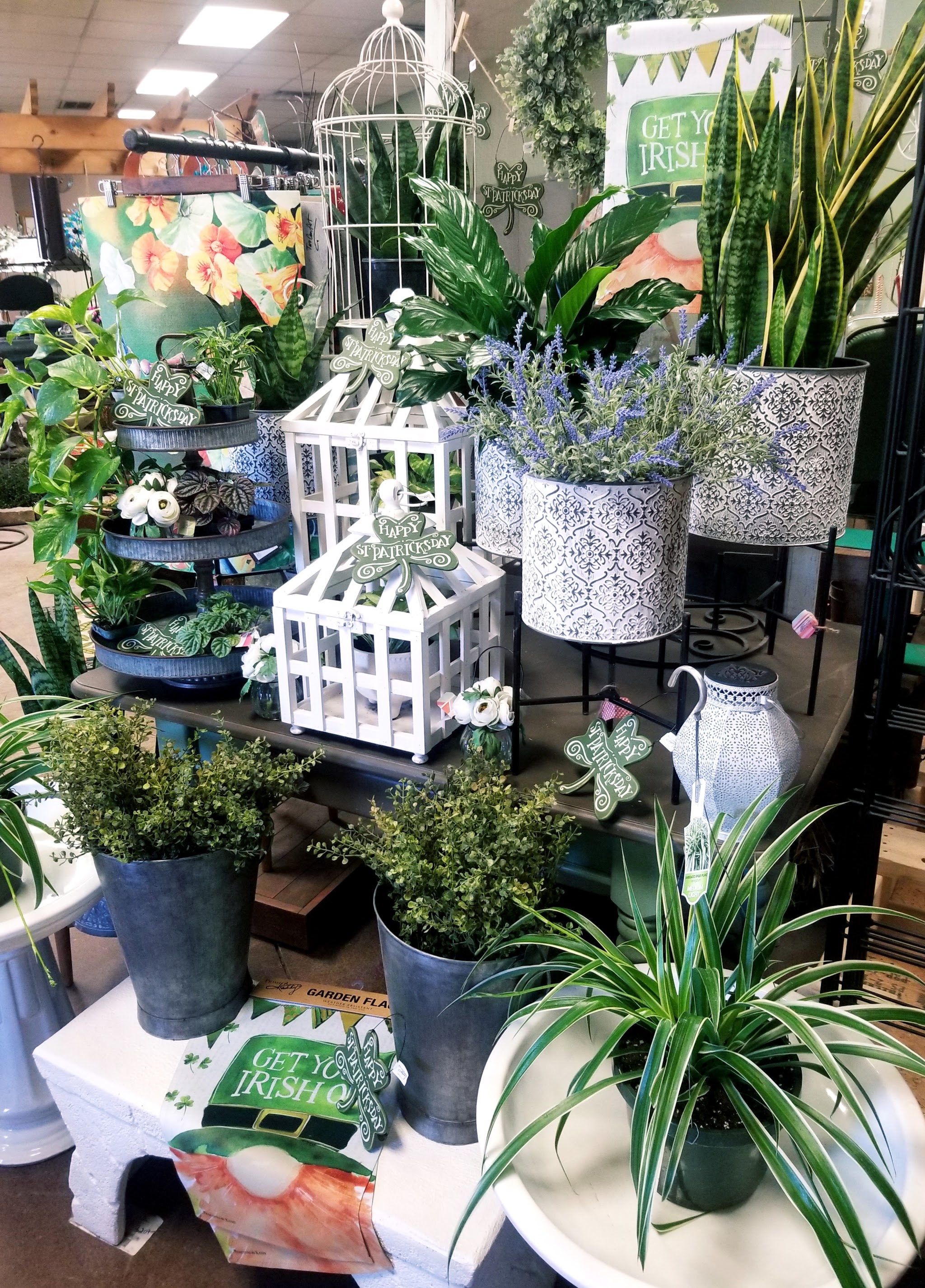 Indoor display of houseplants, planters and garden decor