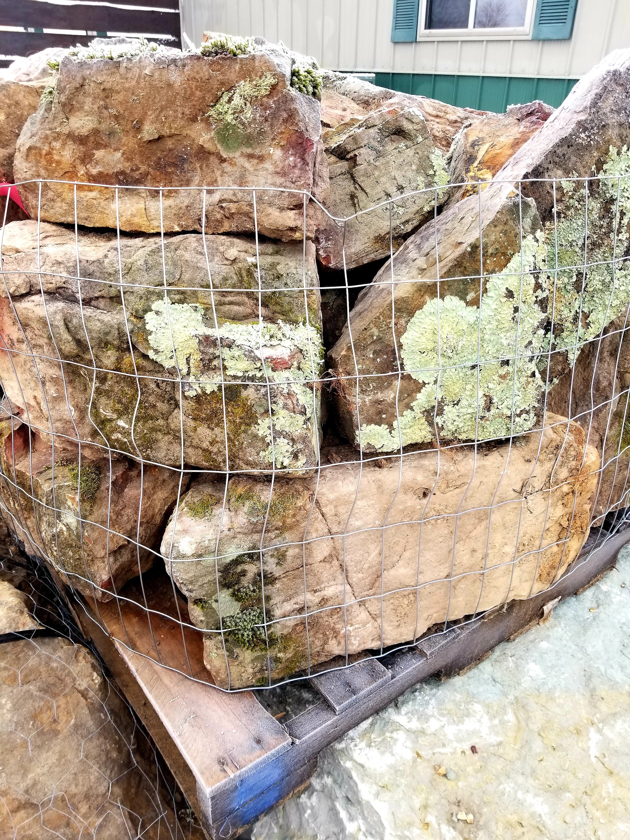 Moss rock boulders with lichen still on them, stacked on a pallet